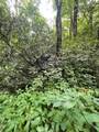 n/a Azalea Woods Drive - Photo 2