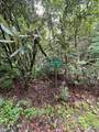n/a Azalea Woods Drive - Photo 3