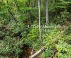 Lot 135 Rockhouse Falls Lane - Photo 4