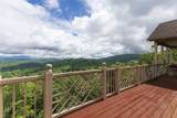 289 Lower Brushy Face Road - Photo 47