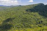 Lot 22 New Settler's Way - Photo 15
