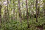 Lot 22 New Settler's Way - Photo 6