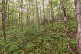 Lot 22 New Settler's Way - Photo 7