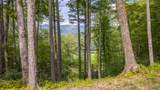 FE-3 Triple Farm Road - Photo 12