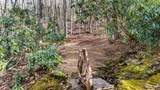 517 Joshs Trail - Photo 72