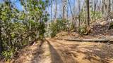517 Joshs Trail - Photo 73