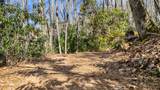 517 Joshs Trail - Photo 75