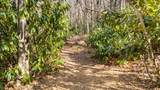 517 Joshs Trail - Photo 76