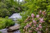 940 Winding Creek Road - Photo 75