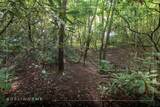46DR Winding Creek Road - Photo 3