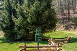 542 Cross Creek Trail - Photo 62