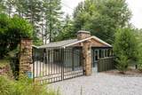 60 Owen Mountain Road - Photo 47