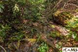 Lot 20 New Settler's Way - Photo 20