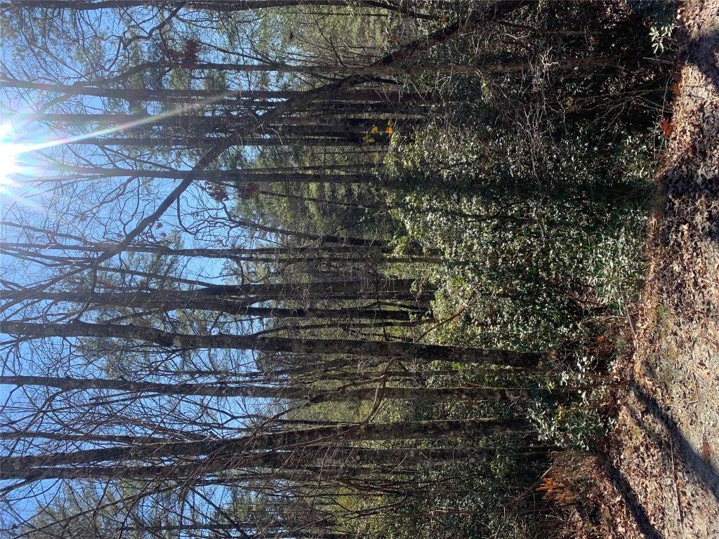 Lot 9 Oak Laurel Road - Photo 1