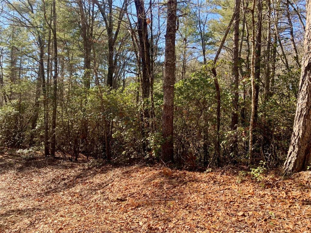 Lot 18 Oakridge Drive - Photo 1