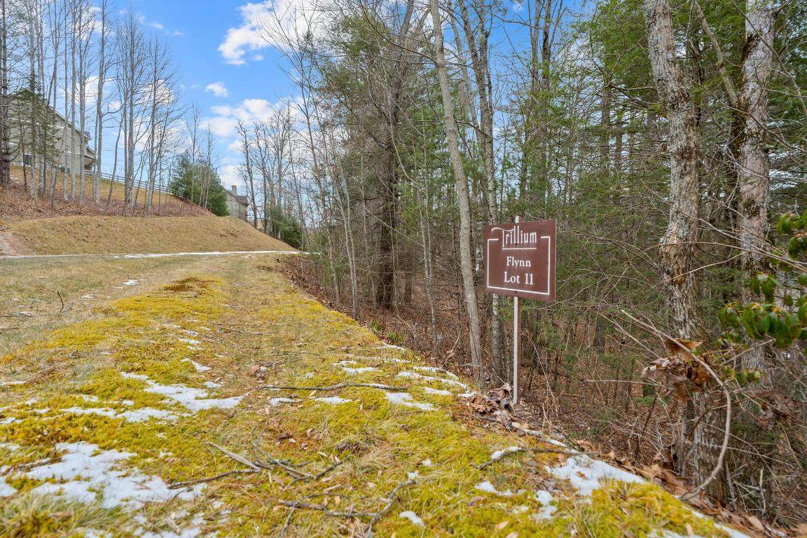 Lt 11 Trillium Ridge Road - Photo 1