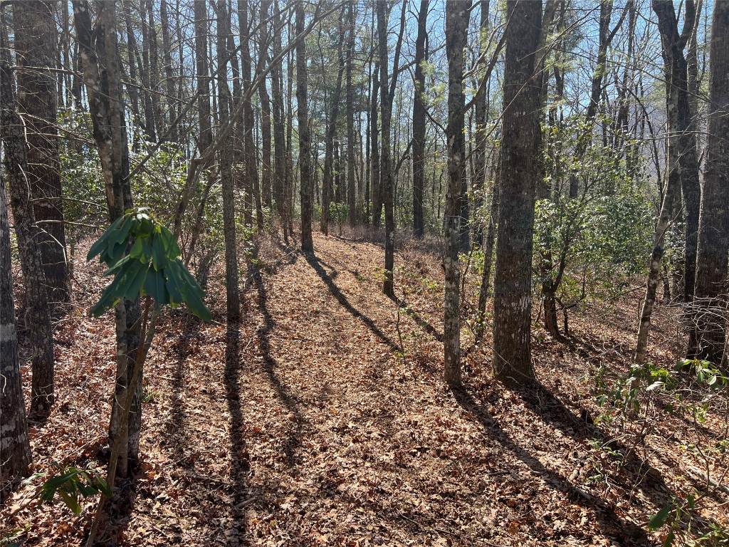 TBD Panther Ridge Road - Photo 1