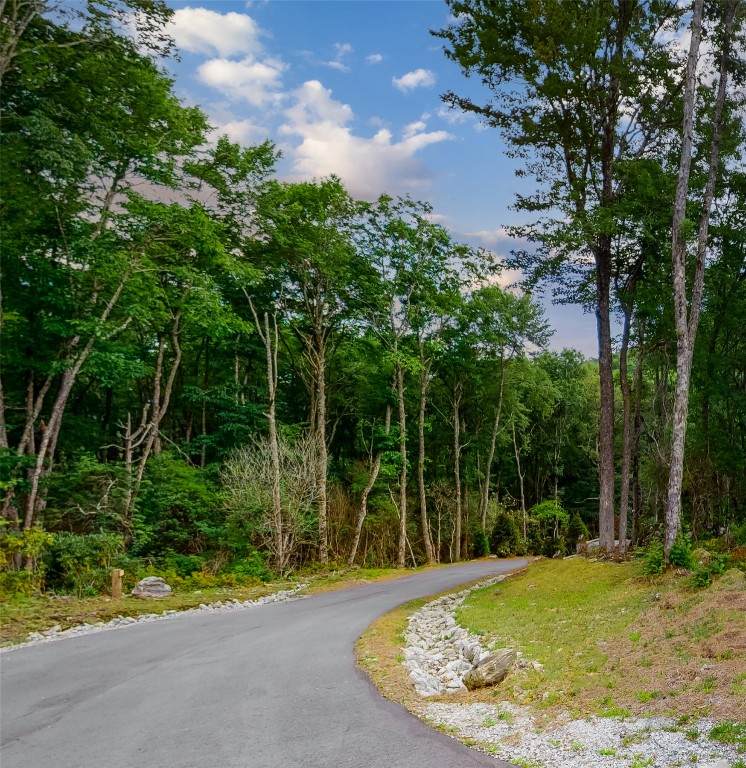 Lot 1 Bear Mor Ridge - Photo 1