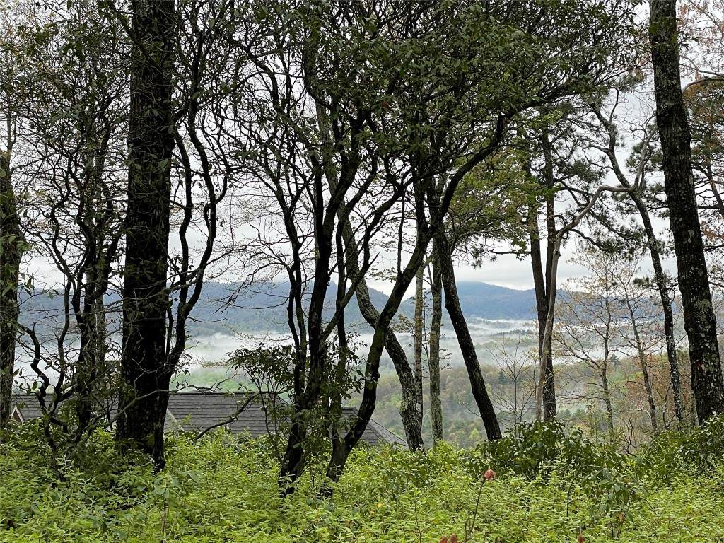 Camp 6 Eagle Frive - Photo 1