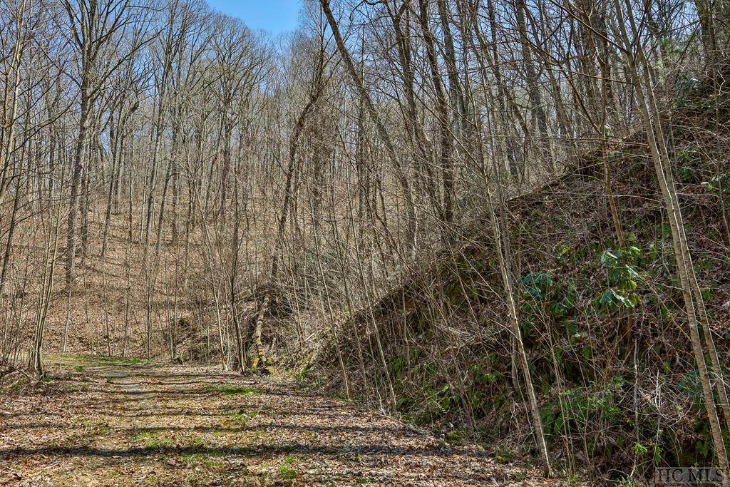 TBD Bearwood Dr - Photo 1