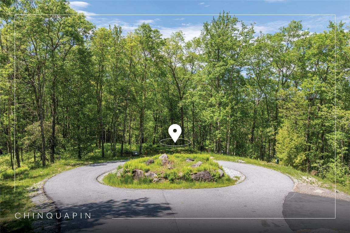 96 Blazing Star Drive - Photo 1