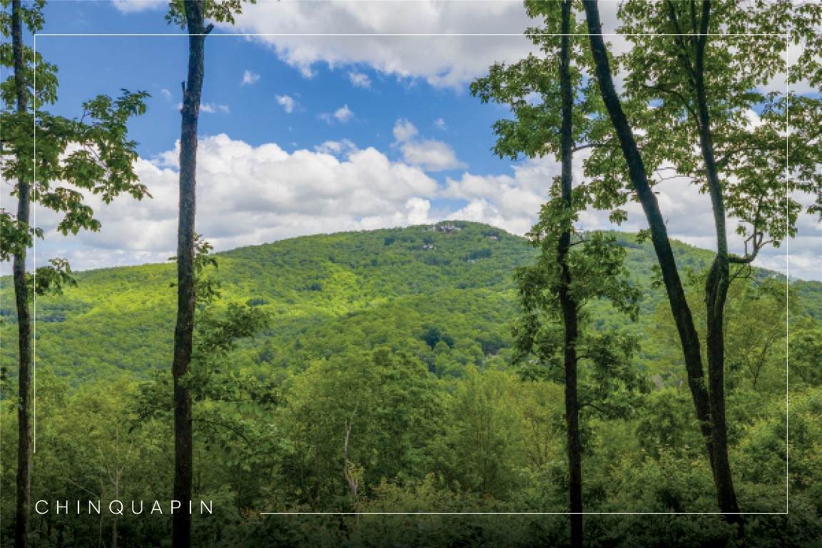 C44 Roaming Road - Photo 1