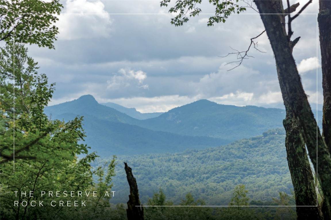 Lot 15 Whitetail Drive - Photo 1