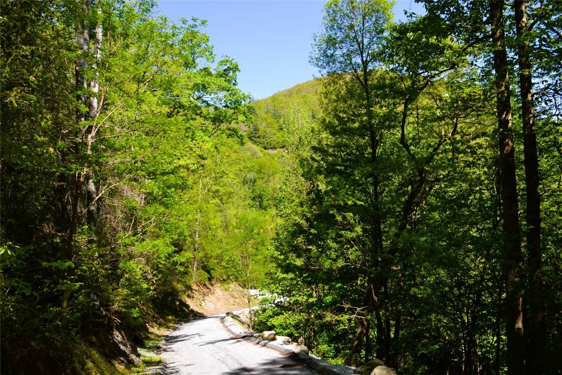 Lot 19 Speckled Feather Pass - Photo 1