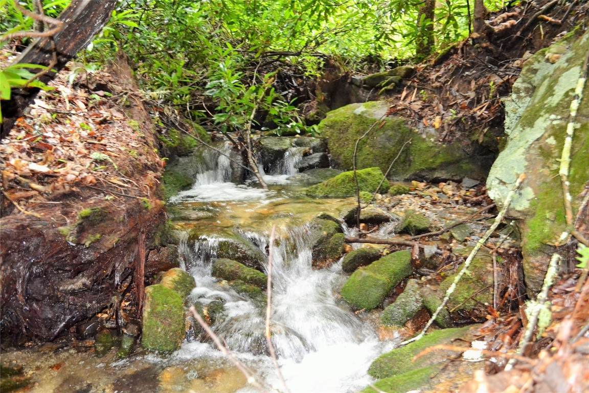 Lot H Speckled Feather Pass - Photo 1