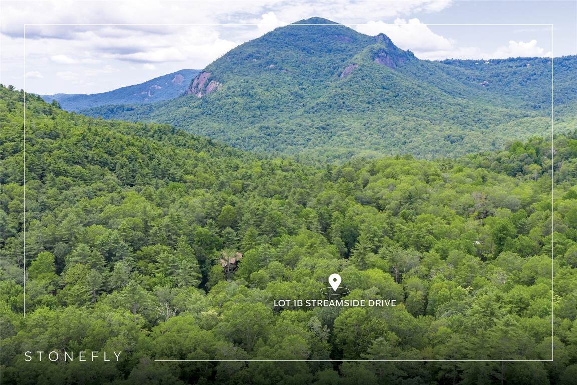 Lot 1B Streamside Drive - Photo 1