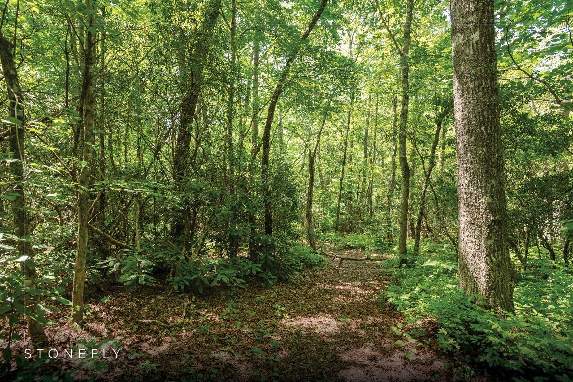 Lot 14 Streamside Drive - Photo 1