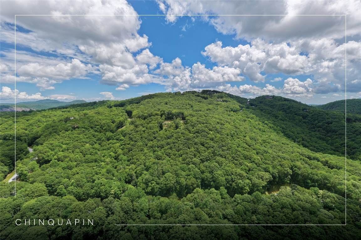 Lot E4 New Settler's Way - Photo 1