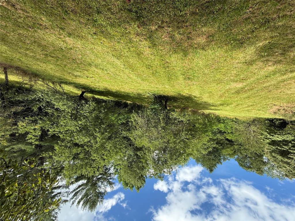 48 Upsy Daisy Lane - Photo 1