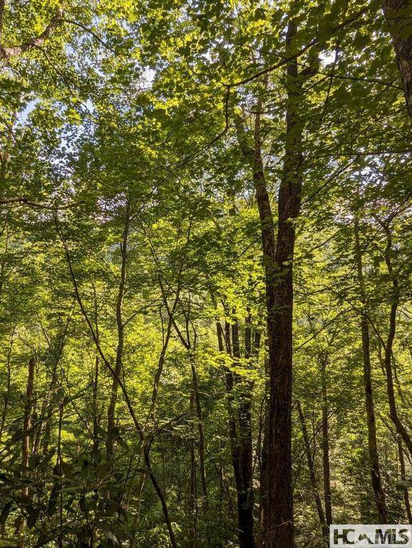 Lot 24 Pilot Knob Road - Photo 1