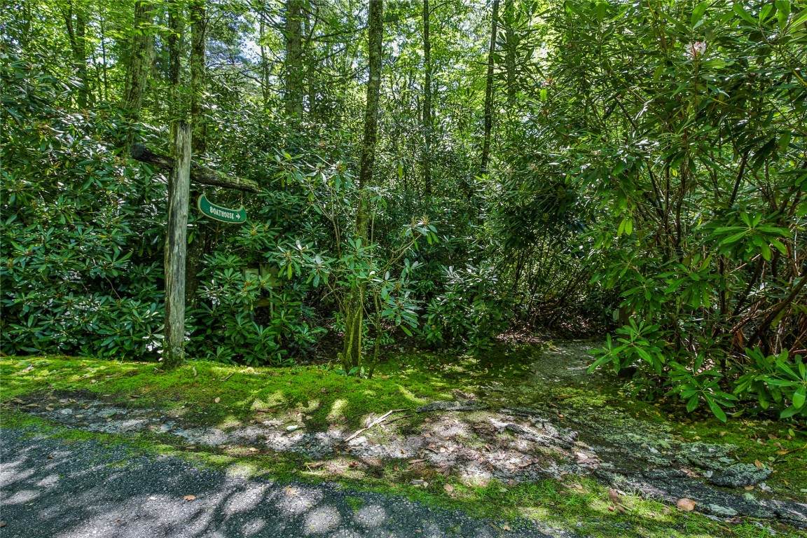 Lot 28 High Pond Lane - Photo 1