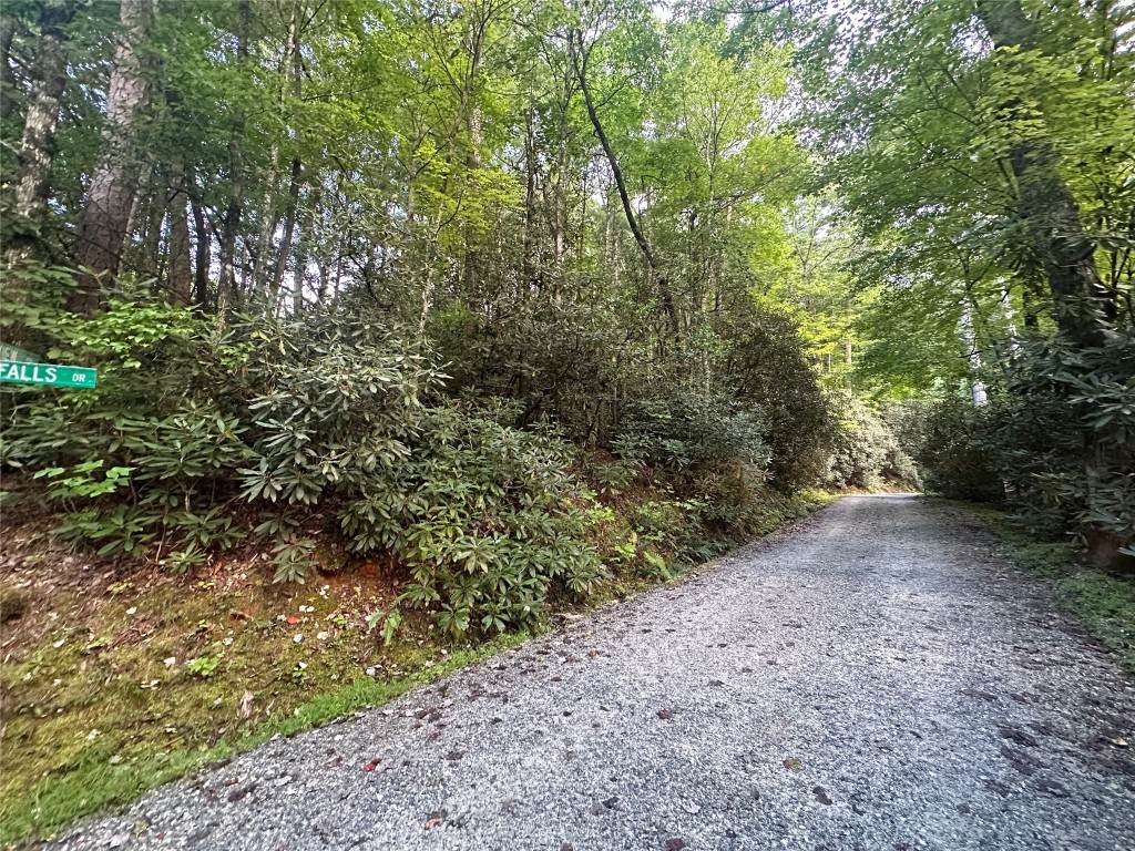 Lot 16 Toxaway Falls Drive - Photo 1