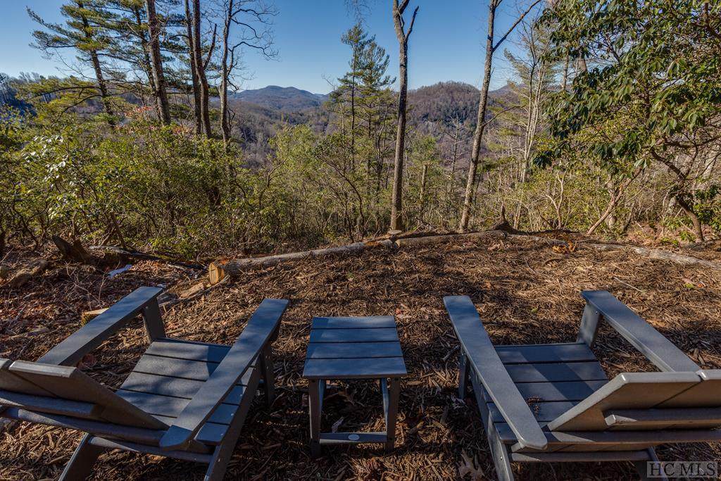 Lot 51 Winter Green Drive - Photo 1