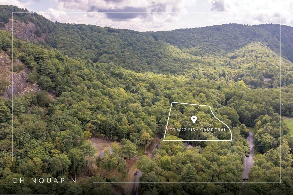 W23 Fish Camp Trail - Photo 1