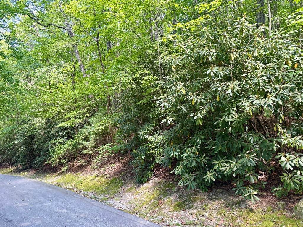 115 Black Oak Drive - Photo 1