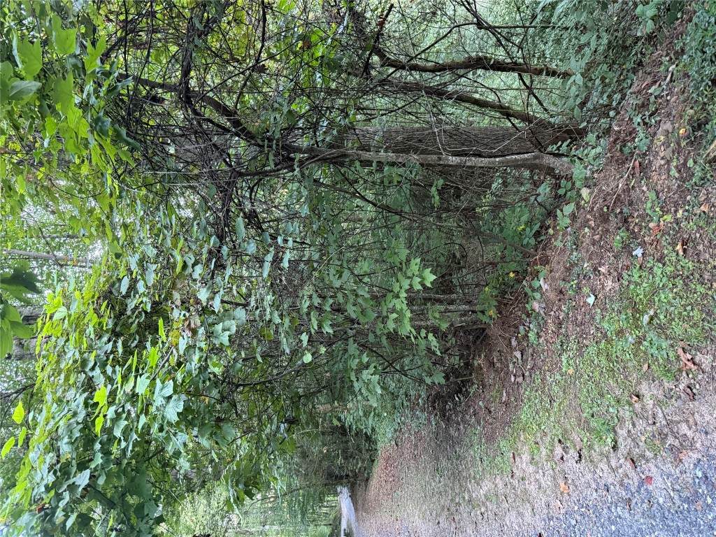 Lot 15 Mountain Air Road - Photo 1