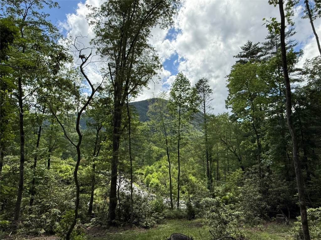 15D Cats Eye Run - Photo 1