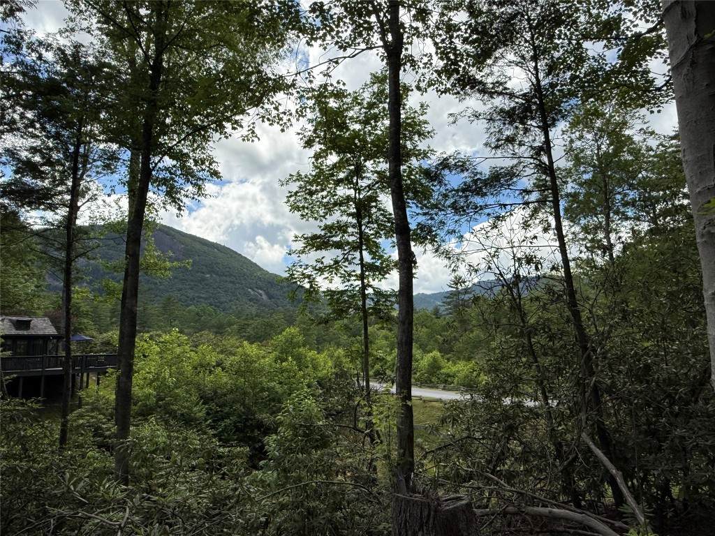 15F Cats Eye Run - Photo 1