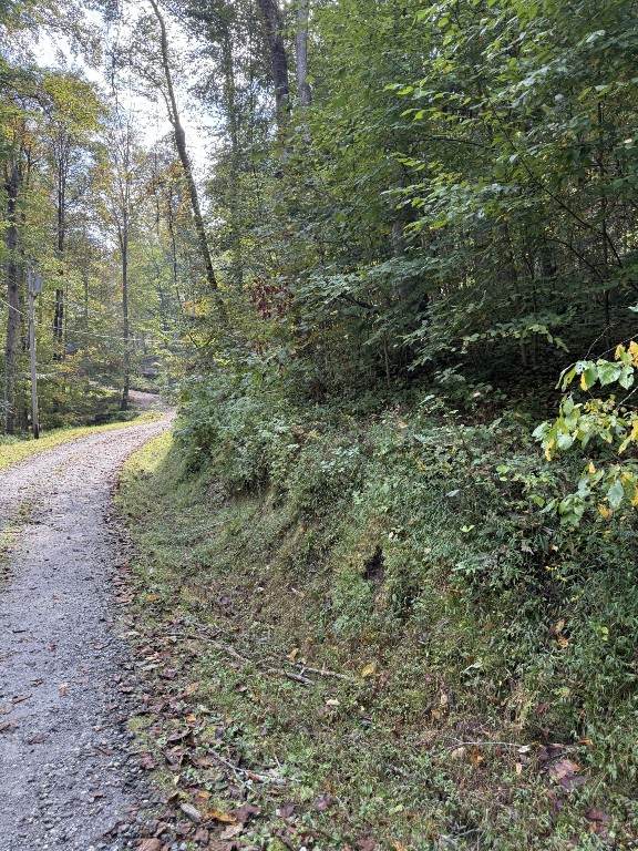 33 Vistawilla Drive - Photo 1