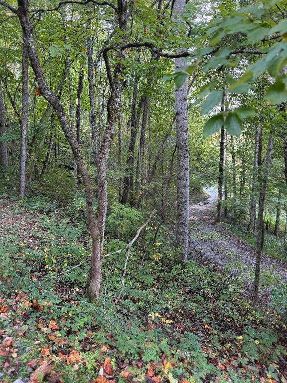 348 Parachute Ridge - Photo 1