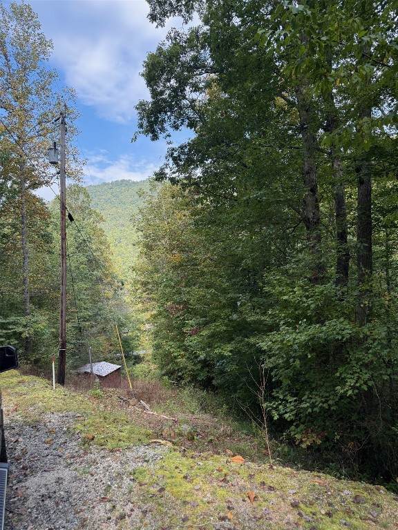 25 Big Pilot Mountain - Photo 1