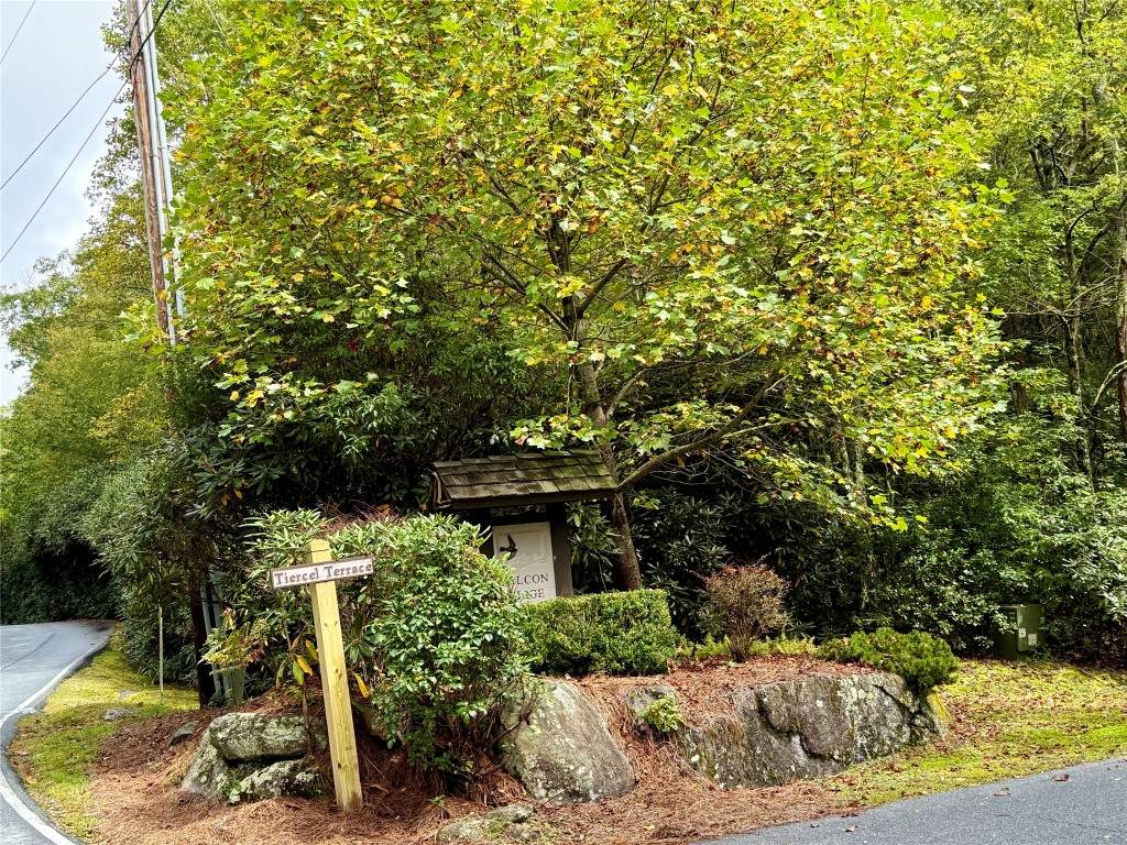 92 Tiercel Trail - Photo 1