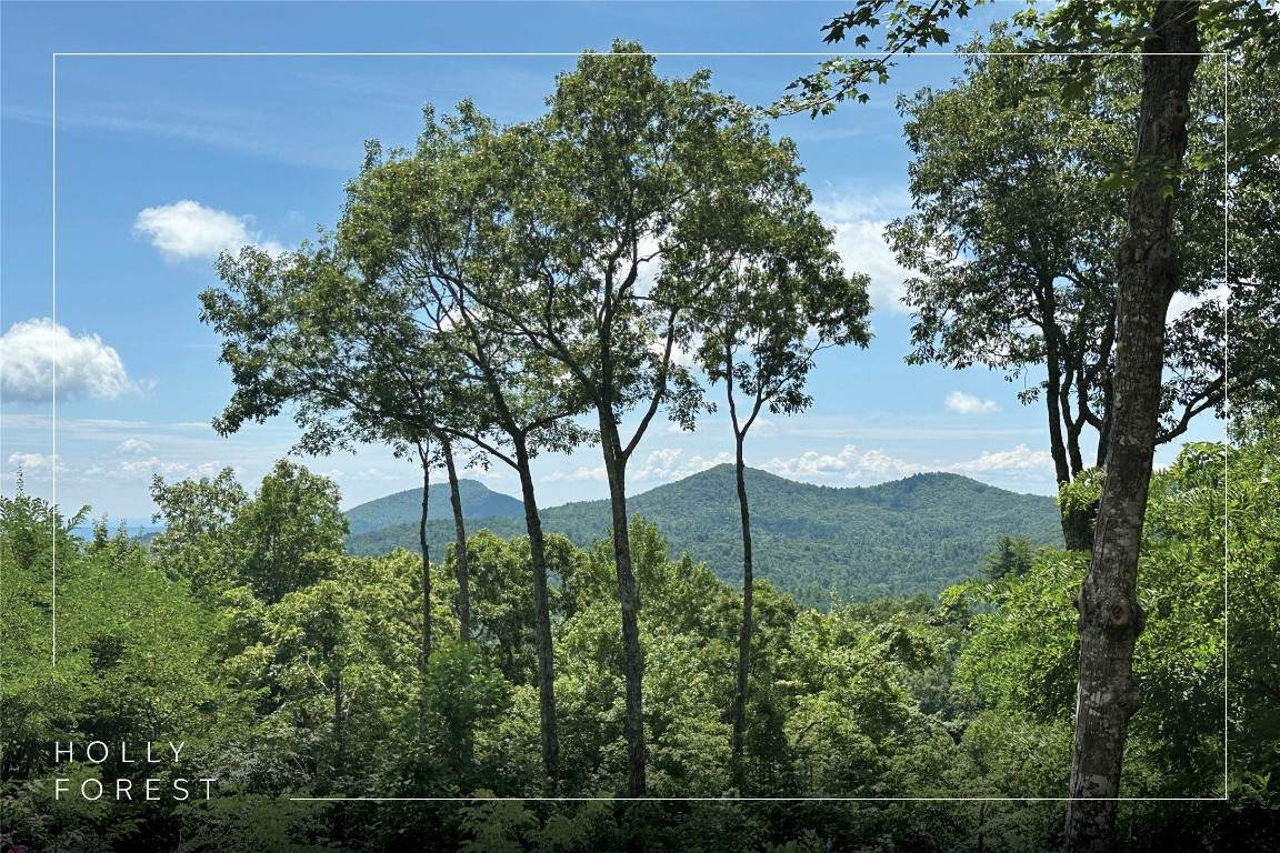 193 Birdnest Road - Photo 1