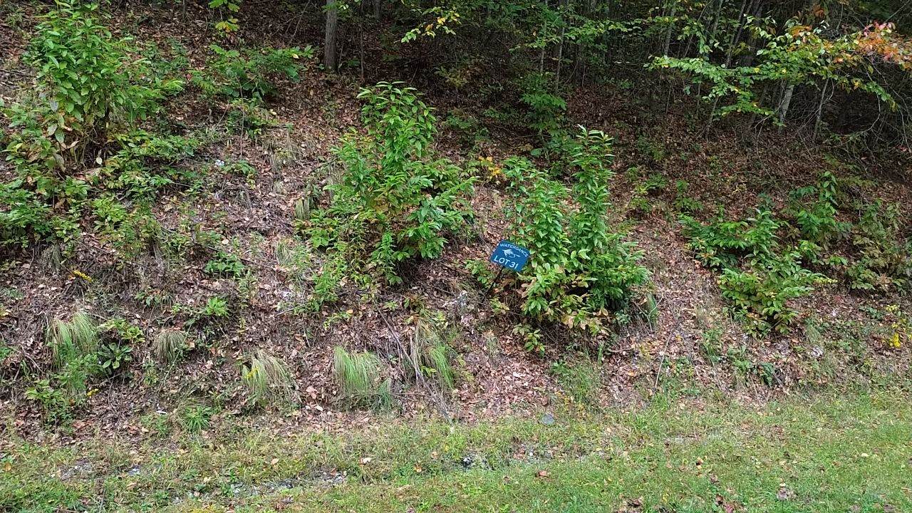 31 Waterdance Drive - Photo 1