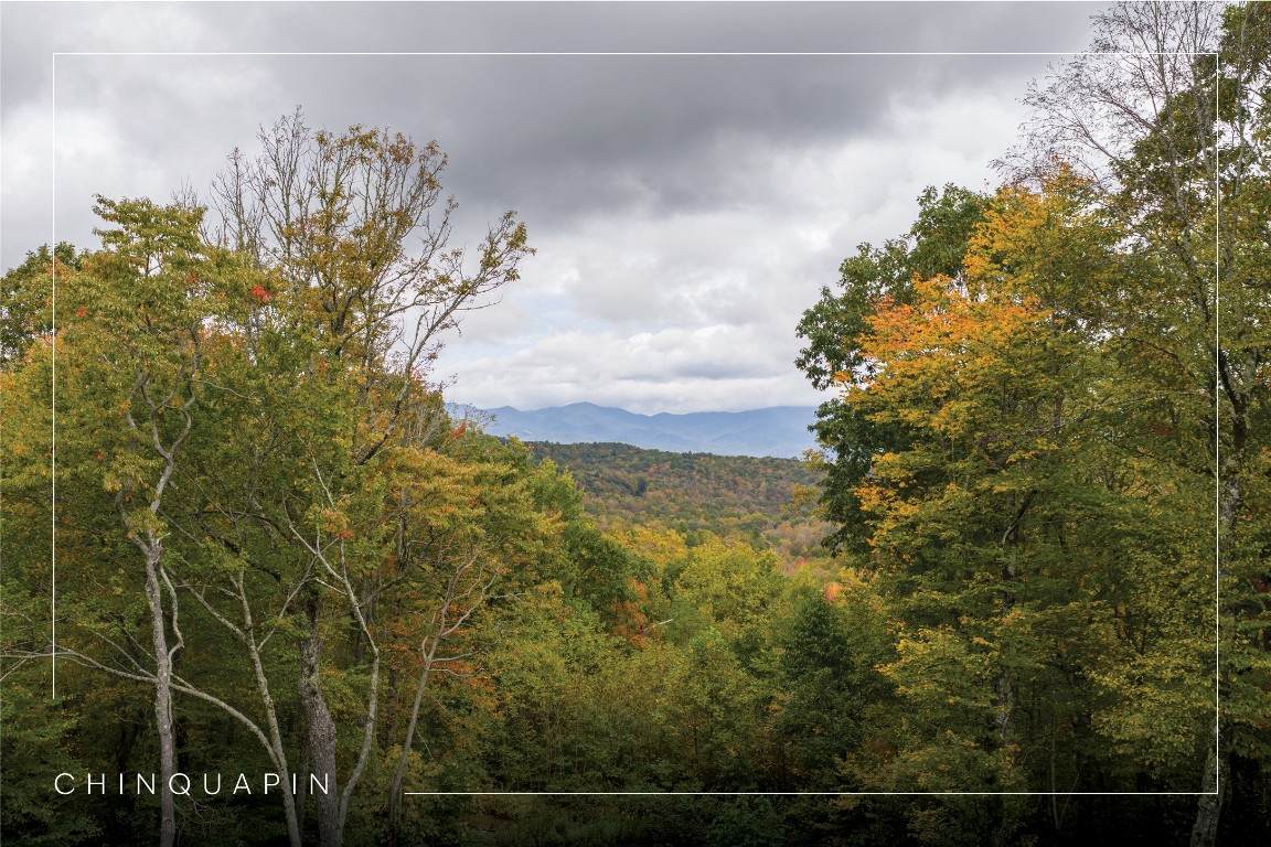 85 Redrock Trail - Photo 1