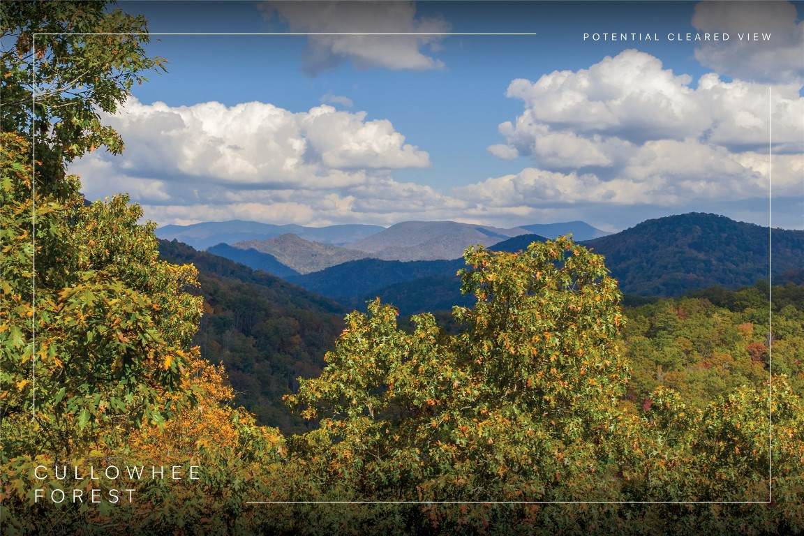 Lot 54 Cullowhee Forest Road - Photo 1
